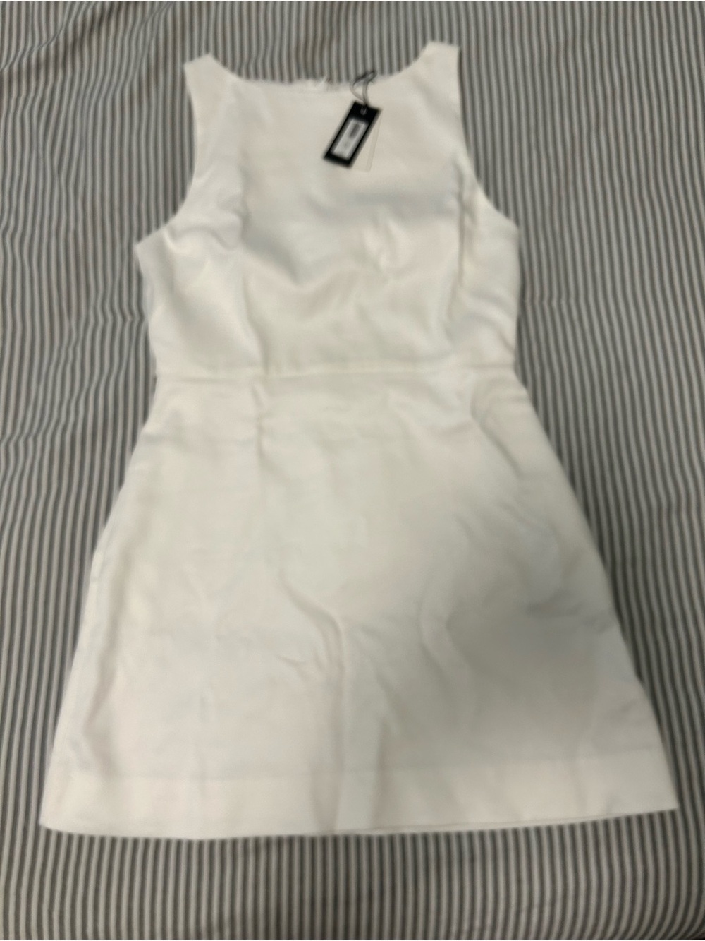 Aritzia White Sleeveless Mini Dress with Boat Neck (Babaton)